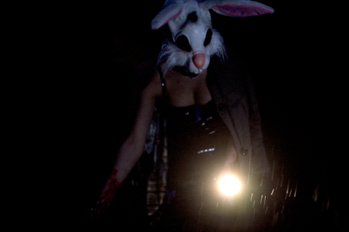 rabbit